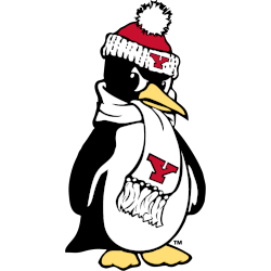 Youngstown State Penguins Alternate Logo 2007 - Present